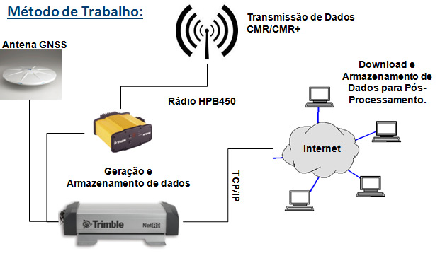 NetR9-Ti-3